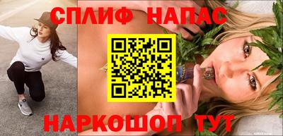 сатива Нальчик