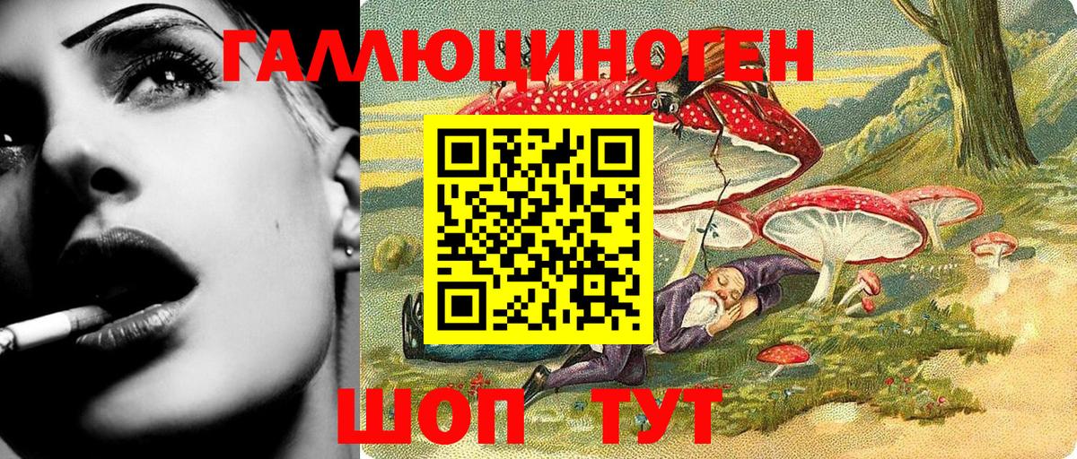 Псилоцибиновые грибы Psilocybe  Вход с VPN  Белебей 