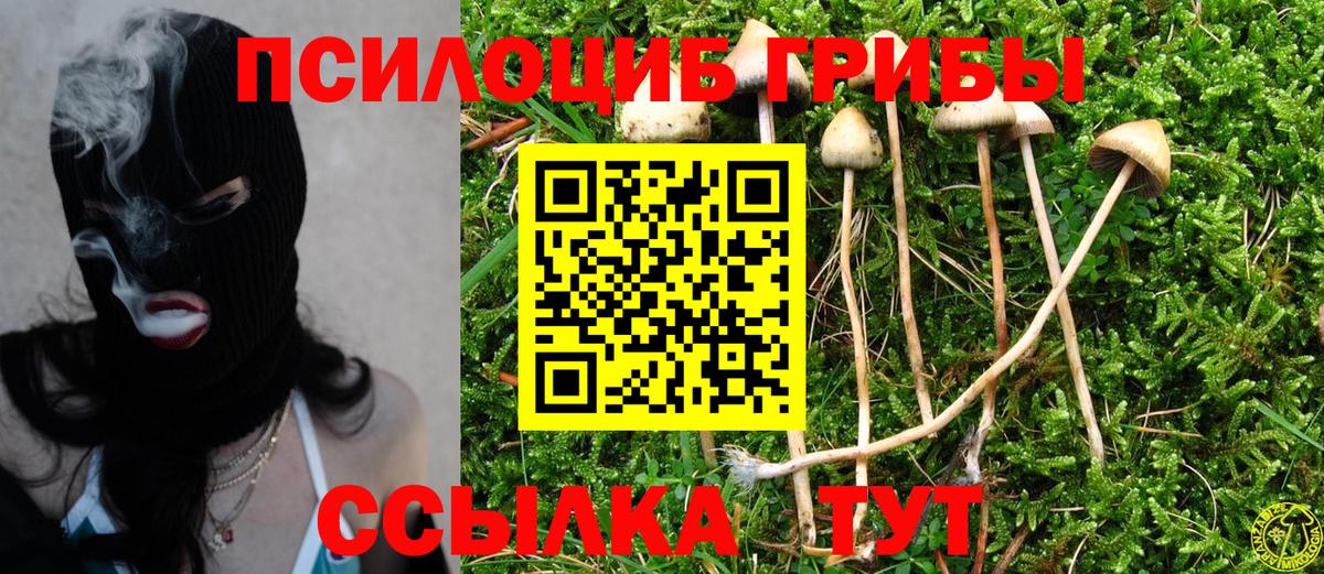 Псилоцибиновые грибы мицелий Белебей